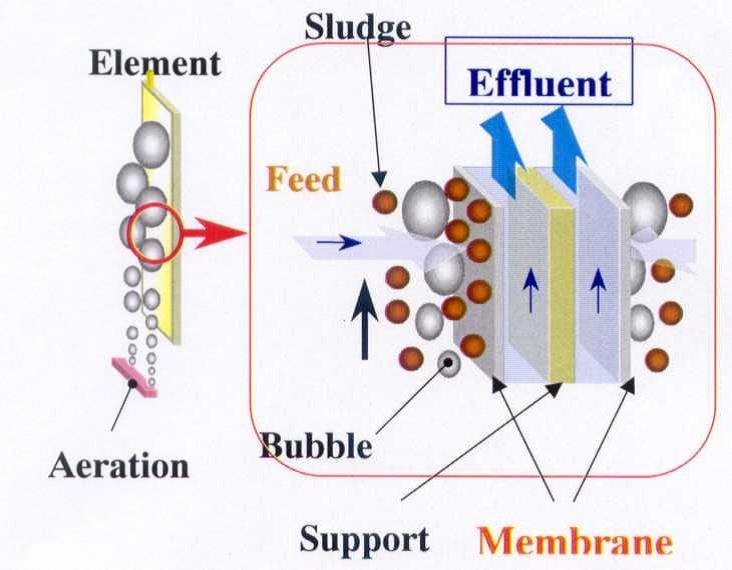 Membrane Bioreactors